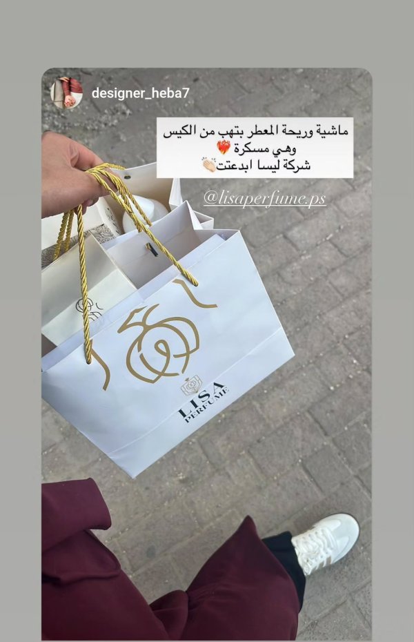 المهندسة هبة البلشة 